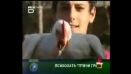 Romski izcepki