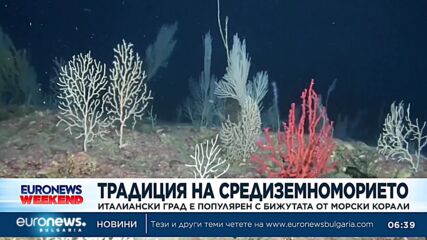 Италиански град трупа популярност с бижутата от морски корали