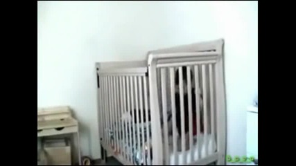 Бебешок бяга от затвора