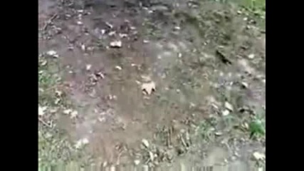 Лошо падане по лице