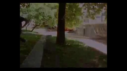 Best Bulgarian Freerun parkour