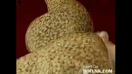 Някой неща просто несе Виждат с просто Око