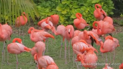 Miami, Florida Travel Guide - Must - See Attractions