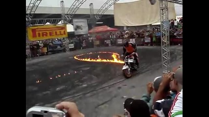 cobra moto show