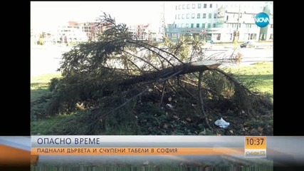 Какви са пораженията от вятъра в София