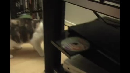 Котка Атакува Dvd плейър - 100% Смях 