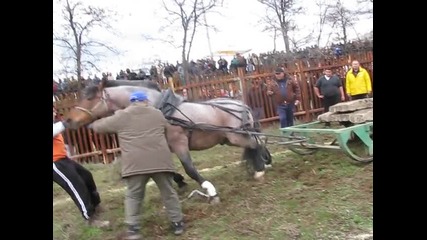 kone nai dobrite 2014 zarko peev