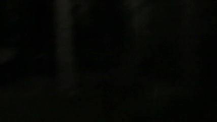 Suicide Silence - Don't Die