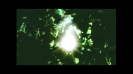 Rain Forest - Ambient New Age Reiki Music Video -by Equinox