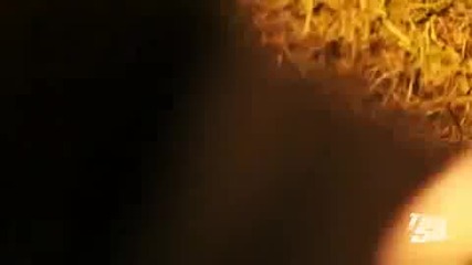 50 Cent - Crime Wave Official Movie Music Video Hd
