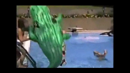 Бъдещ олимпийски шампион - Смях