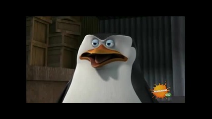 Penguins of Madagaskar - Operation Plus and Cover + Happy King Julian Day 