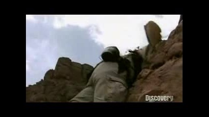 Ultimate Survival / Оцеляване на предела с Bear Grylls, Сезон 3, Епизод 2, Desert Survivor [2]