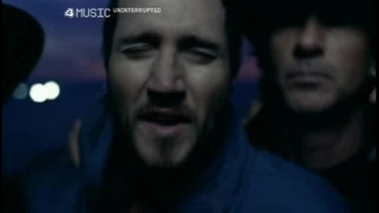 Red Hot Chili Peppers - Desecration Smile