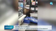 Цяла нощ мечка „краде” храна от супермаркет