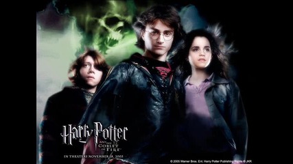Harry Potter Forever