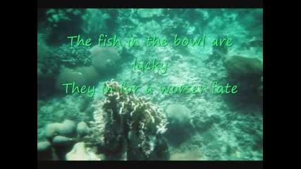 A*teens - Under The Sea [the Little Mermaid soundtrack] +lyrics