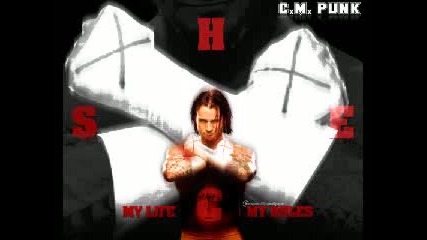 Wwe - Cm Punk - Theme Song