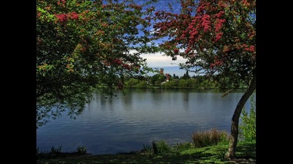 Davor Badrov - Jedina 