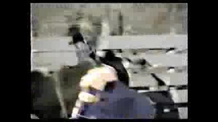 Little River Band - If I Get Lucky 