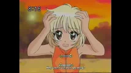 Tokyo mew mew - Taruto X Pudding - Hips dont lie.flv 
