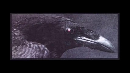 Wasp - Keep Holding on 