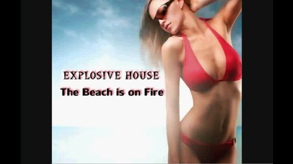 Delia Matache - The Beach is on Fire 