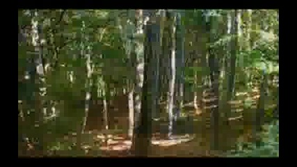 да се побъркаш от смях