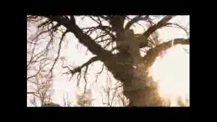 Dj Ironik - Stay With Me [official Video]