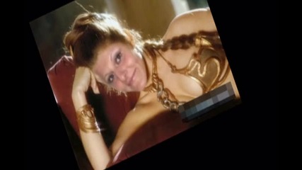 Tedi 29 