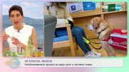 ВЕТЕРИНАРЕН СПАСИТЕЛ: Доктор е извел 200 котки и 60 кучета от Украйна - „На кафе” (23.03.2022)