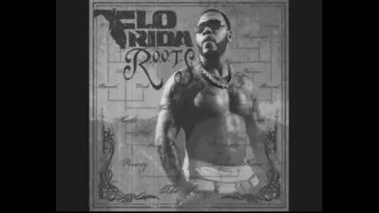 Flo Rida - Never 