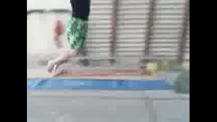 pecata fly
