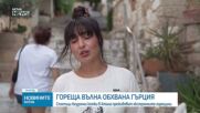 Доброволци помагат на бездомните котки в Атина в жегите