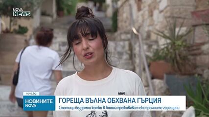 Доброволци помагат на бездомните котки в Атина в жегите