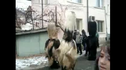 Сурва квартал грамада 2012 (4)