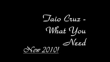 *превод* Taio Cruz - What you need 