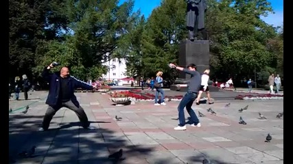 Street-fighter-pigeon-style