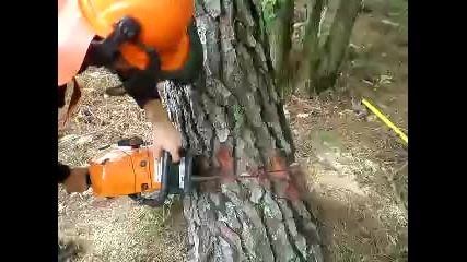 Stihl ms441