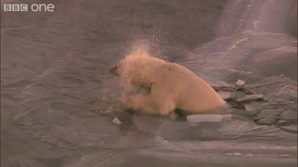 Полярна мечка върху тънък лед - Natures Great Events - Голямото разтапяне - Bbc One 