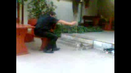Crazy Cat 2