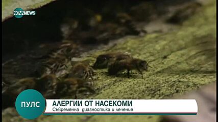 Д-р Симеон Узунов: Най-опасни са ужилванията от оса или от пчела