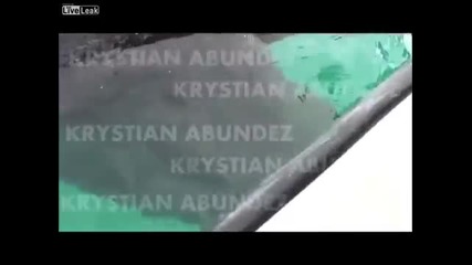 Вижте първите в света сиви китове сиамски близнаци