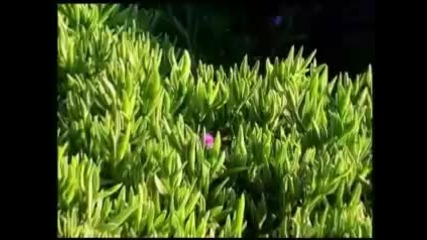 Unas Notas Para Ana