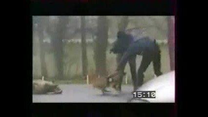 Полицейски Кучета В Акция
