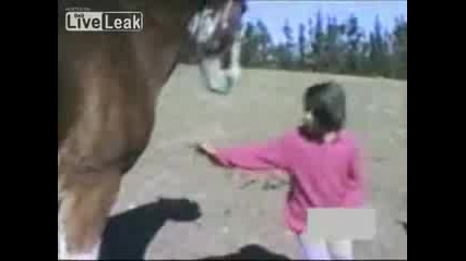 Момиче се закача с кон и познайте какво следва...! 