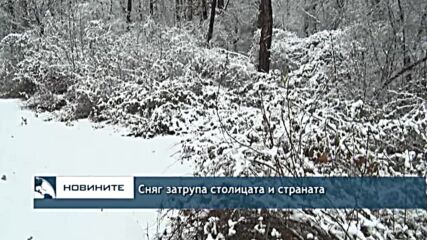 Сняг затрупа столицата и страната