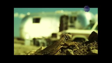 Preslava & Elena - Pia za tebe (official Video) 2010