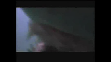 Shark Swarm - Trailer