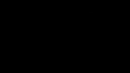 Dvete Tarikatcheta.mp4 